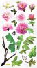 Gorgeous Pink - Wall Decals Stickers Appliques Home Decor